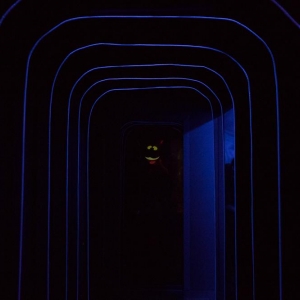 Exposição Alice no País das Maravilhas ONG Orientavida JK